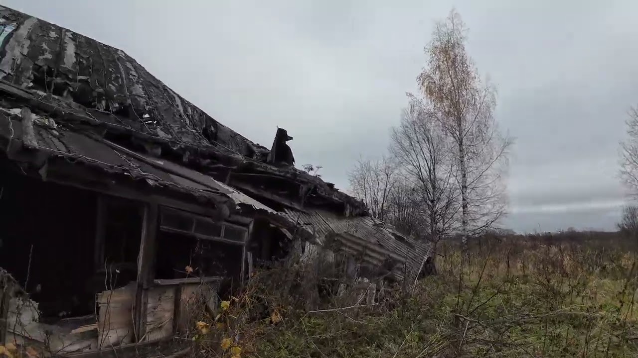 д. Фомино. Кто-то просил снять.