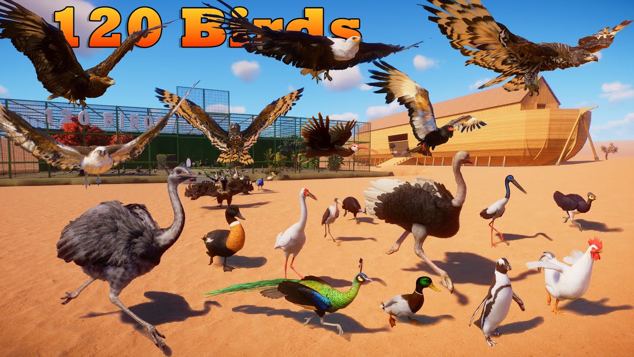 120 птиц сбежали из вольера на Ноев ковчег. Гонка животных в Planet Zoo включает страуса, орла и ...