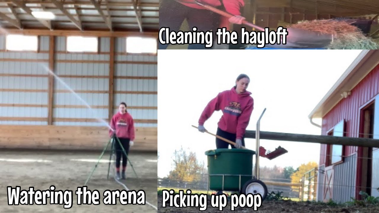 Vlog: Volunteering at a horse barn