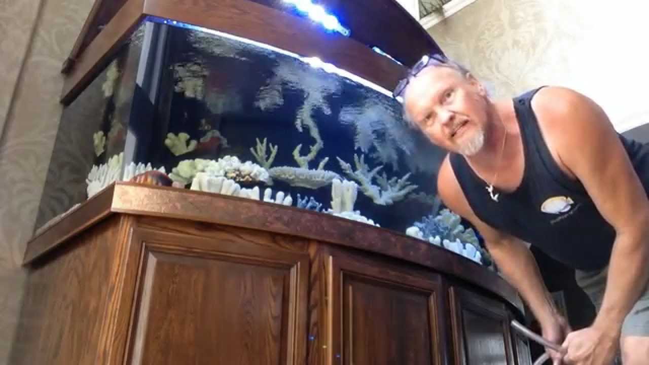 Ick Saltwater Parasites LA Fishguys Episode 137, part 1