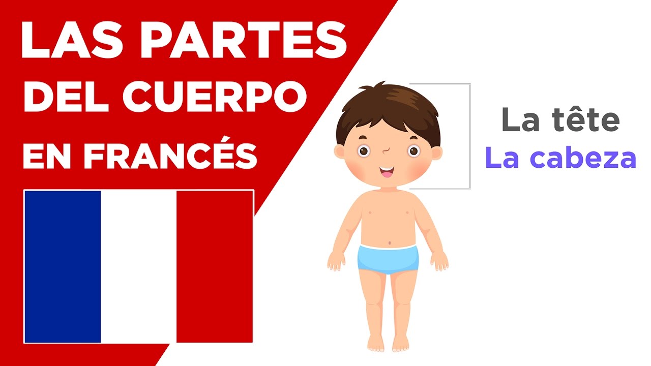 Francés básico - Lección #6 - Las partes del cuerpo