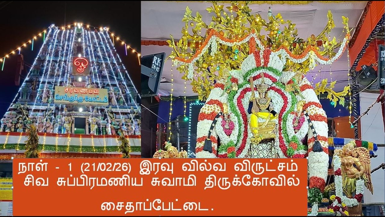 நாள் - 1 (21/02/26) இரவு வில்வ விருட்சம்  / சிவ சுப்பிரமணிய சுவாமி திருக்கோவில் சைதாப்பேட்டை.
