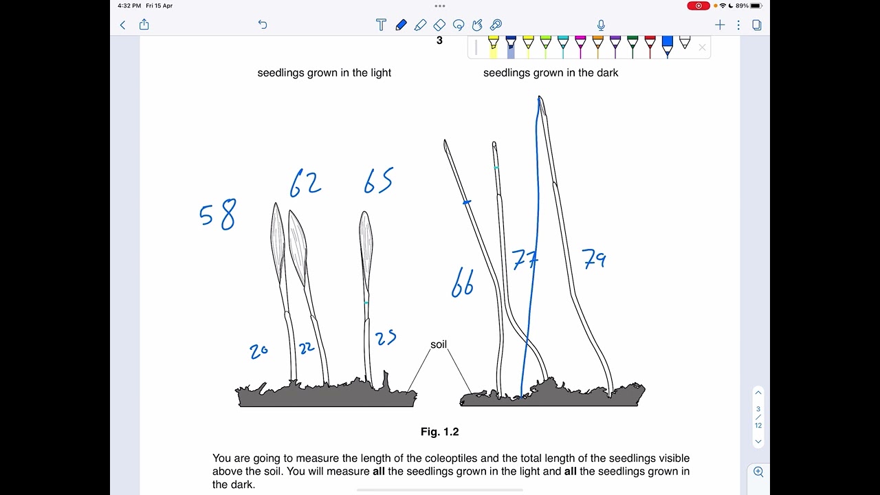 Solving paper 6 OL Nov 16 v2 | Mohamed Fayez