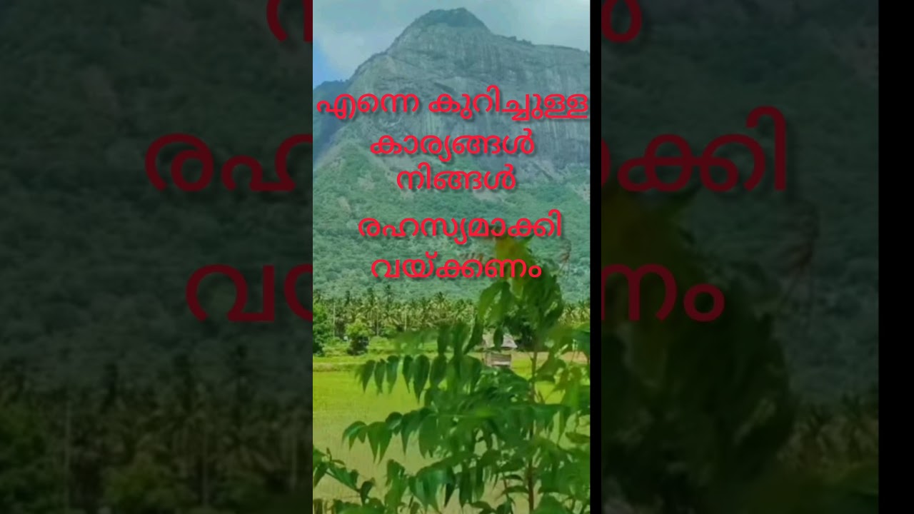 ഖലീഫയുടെ പ്രിയപ്പെട്ടവൾ ഘാനിംമിന് സ്വന്തമാകുമോ?...