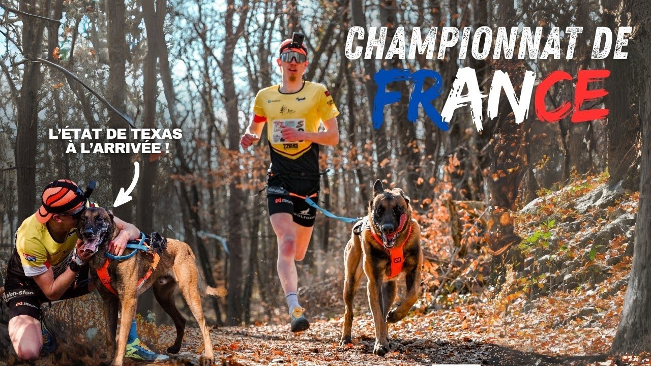 CHAMPIONNAT DE FRANCE CANICROSS 2025 !
