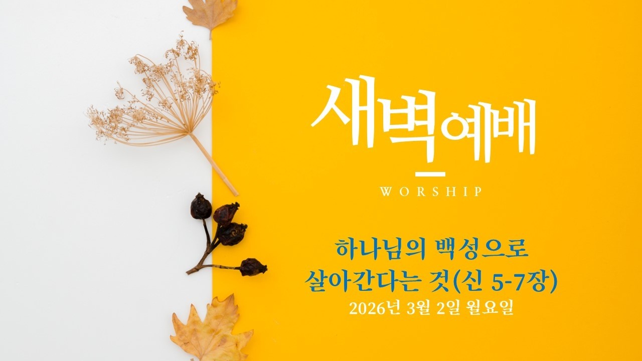 20260302 새벽 