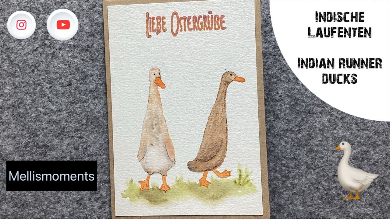 Aquarell Laufenten Schritt für Schritt erklärt - Watercolor runner ducks step by step 