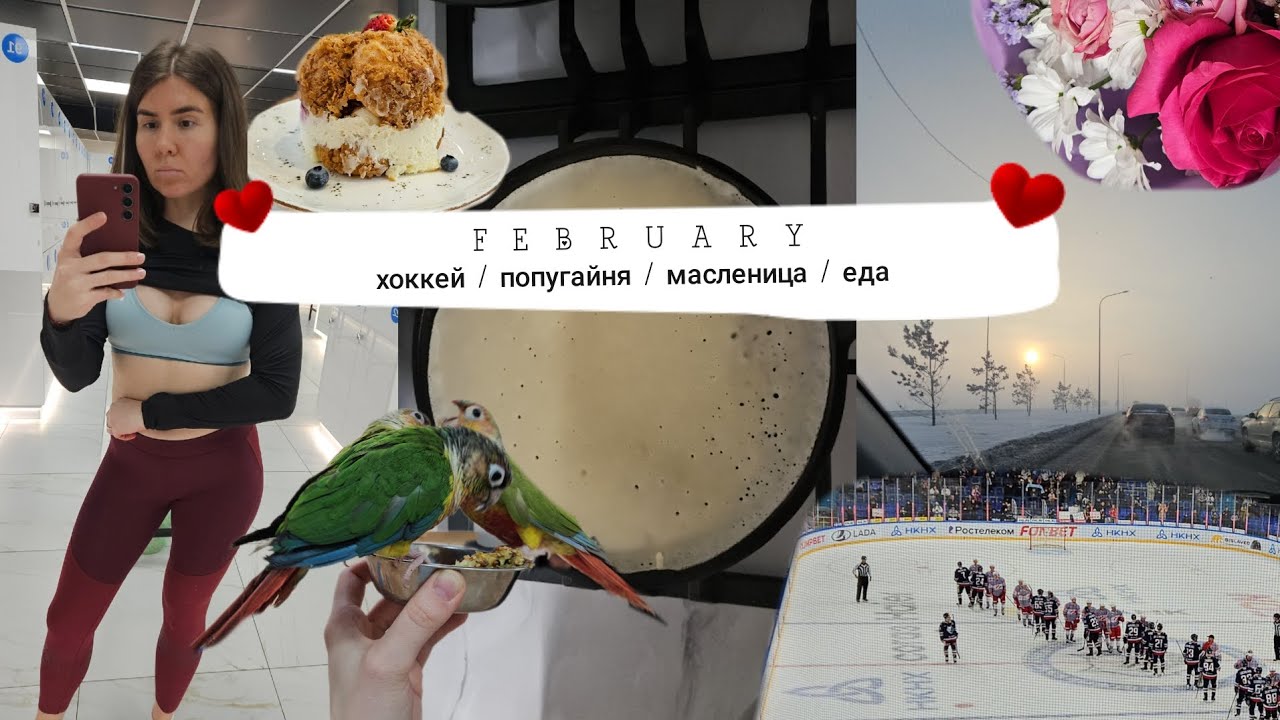 Февраль 2026 | впервые на хоккее | попугайня | выбор шампуня | расхоамление | встречи 