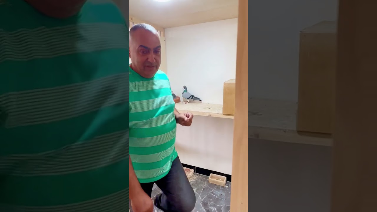 مشتل محمد العلاف عراب الهواية في الموصل والعراق شرح بسيط عن لوفت الانتاج على البلازارد وال  006
