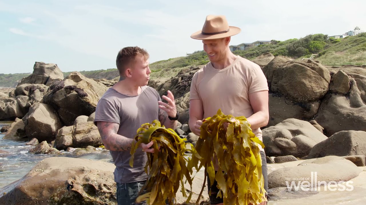 The chef foraging for seaweed and dishing it up on a plate