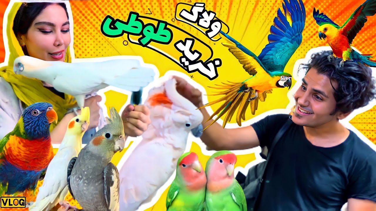 ولاگ خرید حیوان خانگی جدیدمون، عضو جدید (اسمیت فم)😍 بازار پرندگان تهران Pet vlog , funny parrots