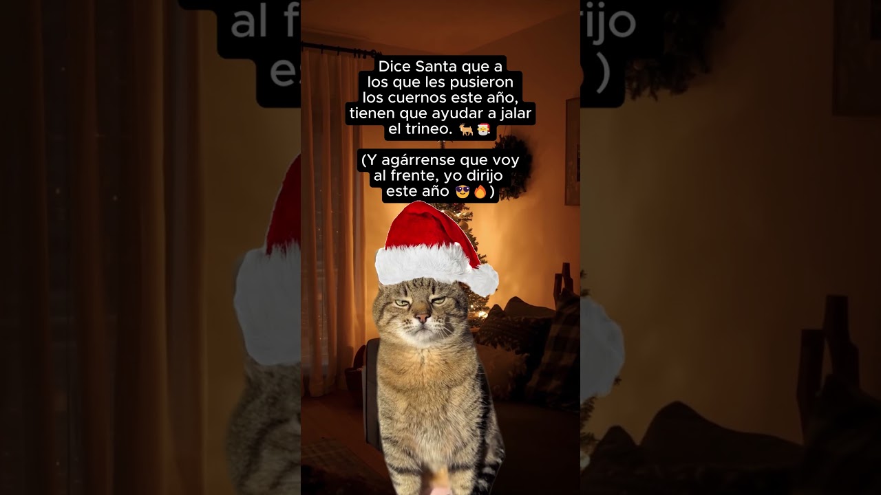Yo dirijo el trinero