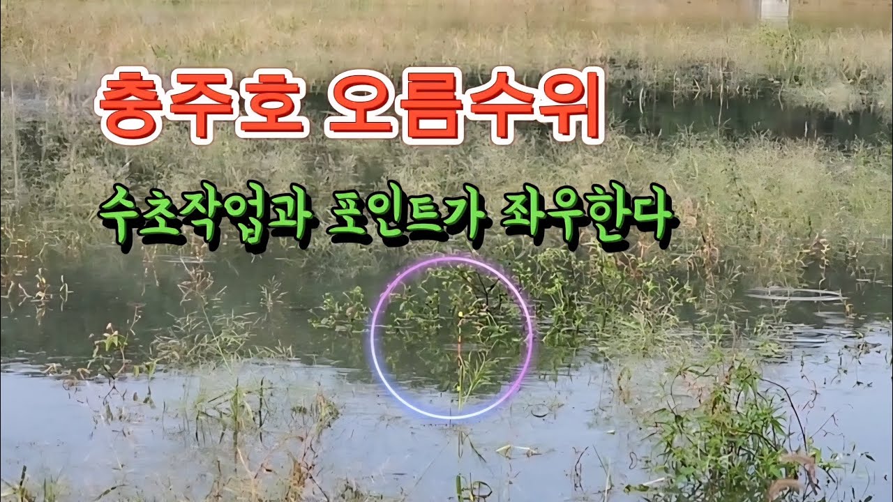 충주호 오름수위 내사리 상류권/#꾼의선택TV#대림낚시#충주호#오름수위