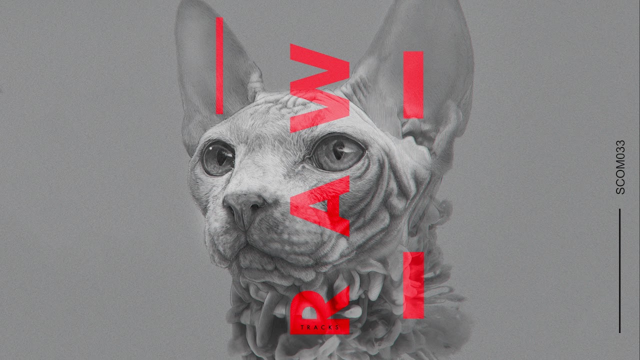 Peja - Nomen Luris (Original Mix) [Suara]