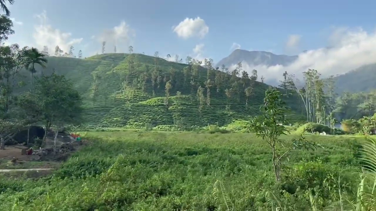 Wonderful  View In Dehenakanda