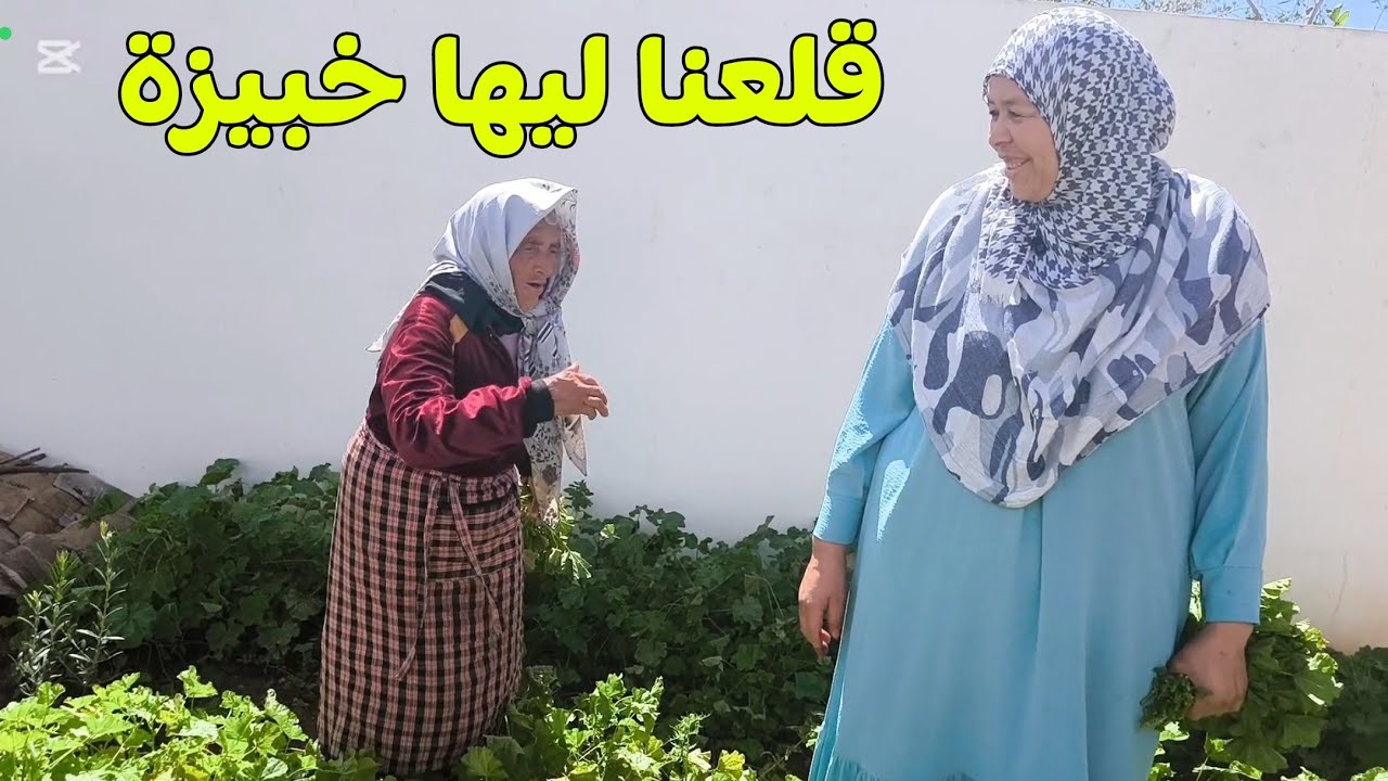 مي هموشة مشات تقلع خبيزة عند ادريسية ردت فعل جمعة