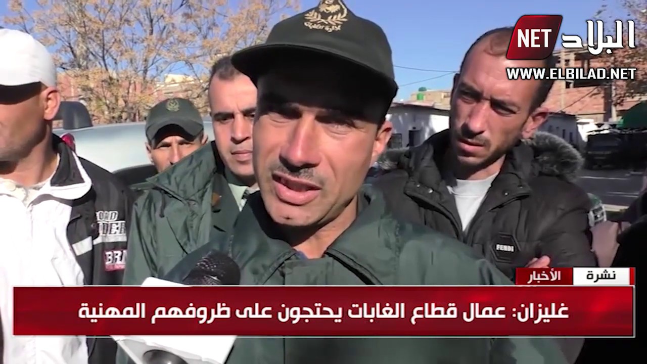 غليزان : عمال قطاع الغابات يحتجون على ظروفيهم المهنية