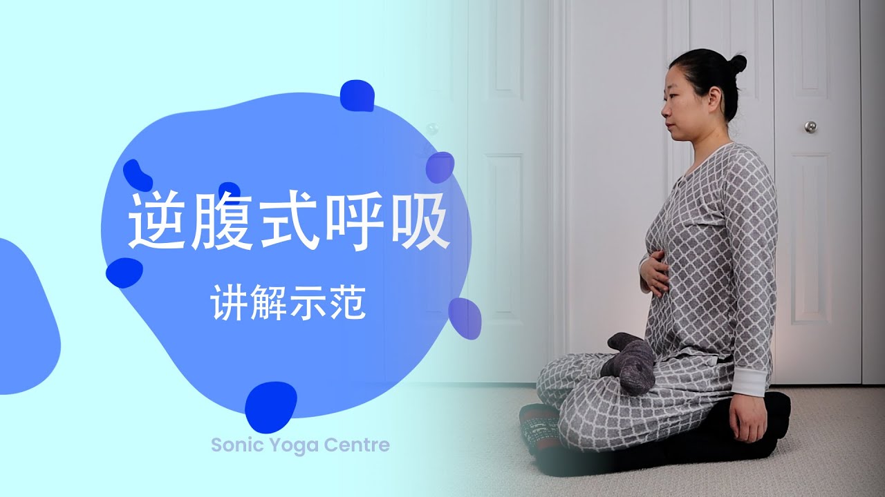禅修基础2：逆腹式呼吸讲解示范