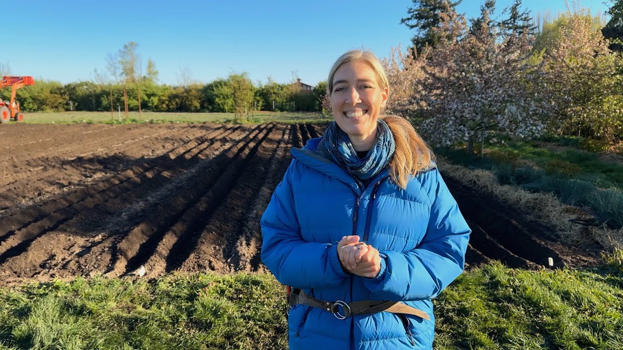 Floret Farm Tour: Dahlia Planting Day