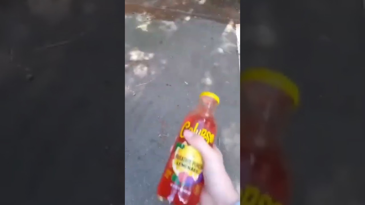 british kid calls calypso minging