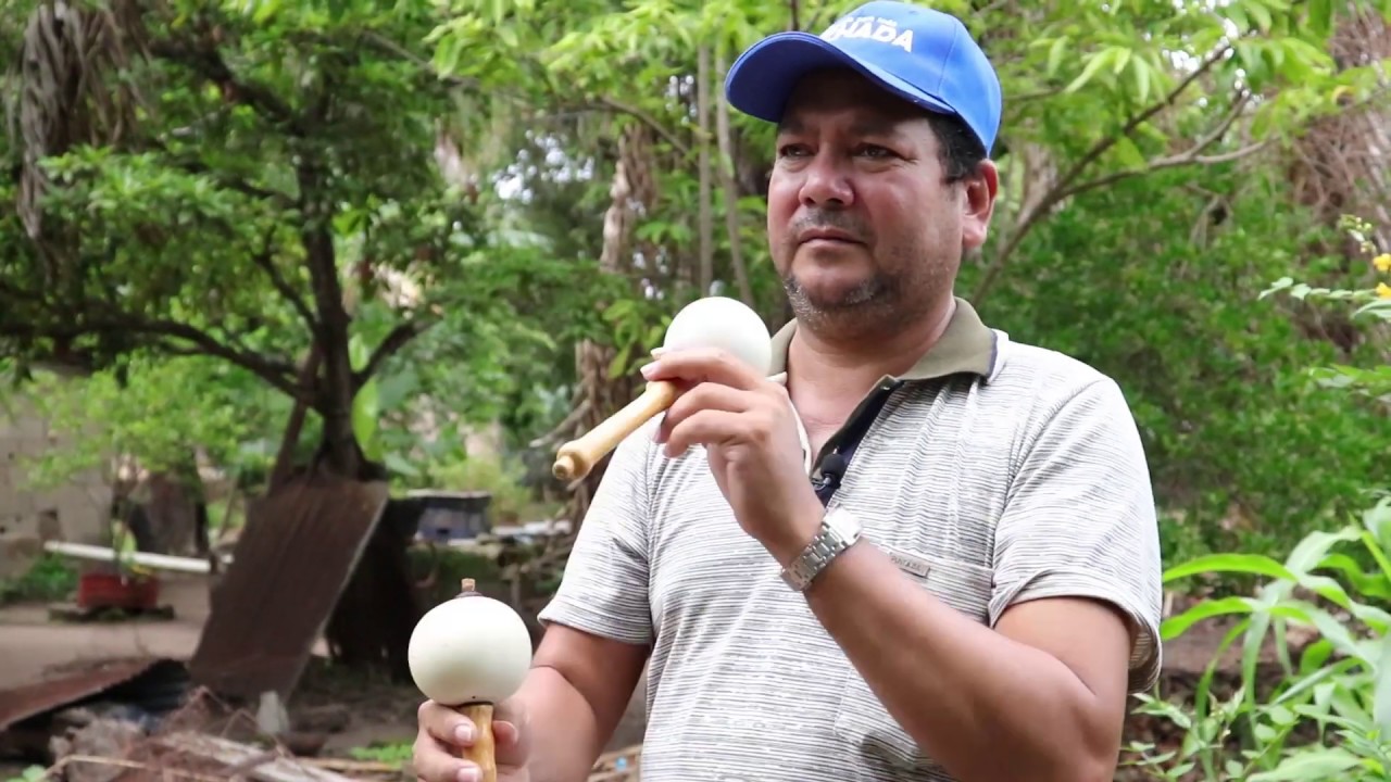MARACA LLANERA - PASO B&Aacute;SICO - Argencio Alvarado