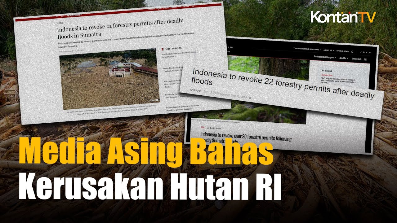 Media Asing Soroti Langkah Indonesia Cabut 22 Izin Kehutanan Usai Banjir Sumatera