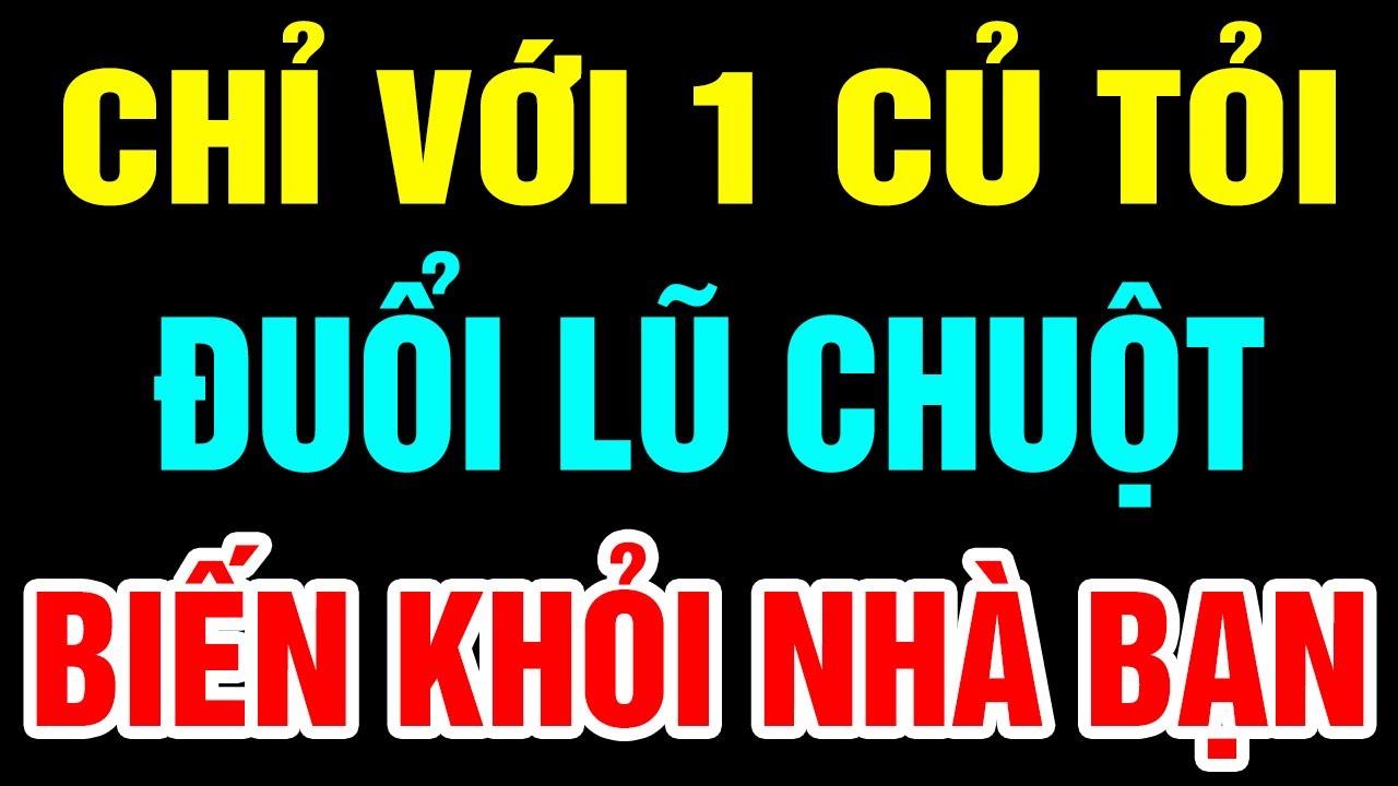Cứ Lấy 1 CỦ TỎI Trộn Với Thứ Này LŨ CHUỘT BIẾN NGAY TỨC KHẮC Không Dám Bén Mảng Tới Nhà Bạn