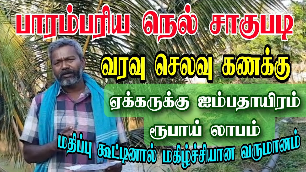 பாரம்பரிய நெல் விவசாயத்தில் வரவு செலவு கணக்கு