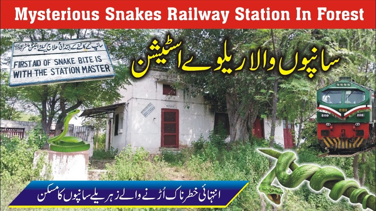 Old Historical And Deserted Ratial Railway Station In Forest Of Dina District Jhelum #tahirshahvlogs