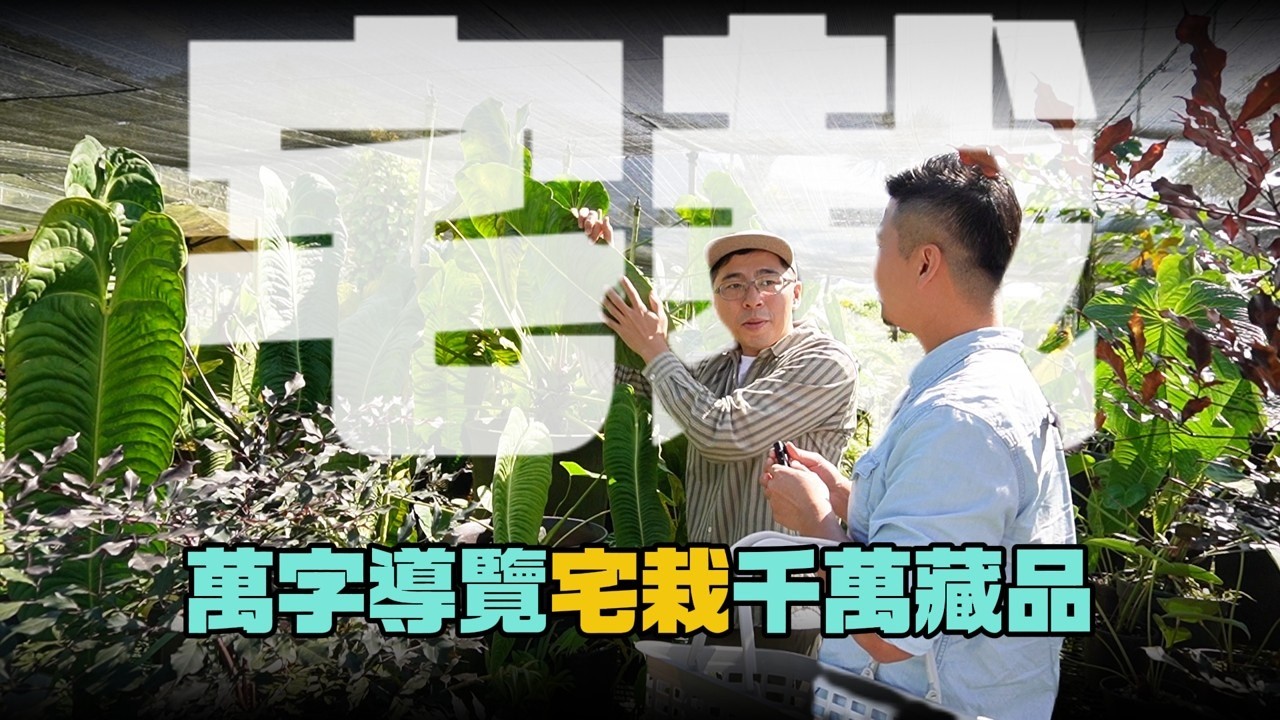 今天帶大家深入「宅裁」秘密基地，開箱總價破千萬的珍稀觀葉植物。想看什麼叫「把房子種在盆子裡」？進來就對了！我是愛種花的伊恩，這是一個分享種植物的小頻道，讓我們一起變綠手指吧。