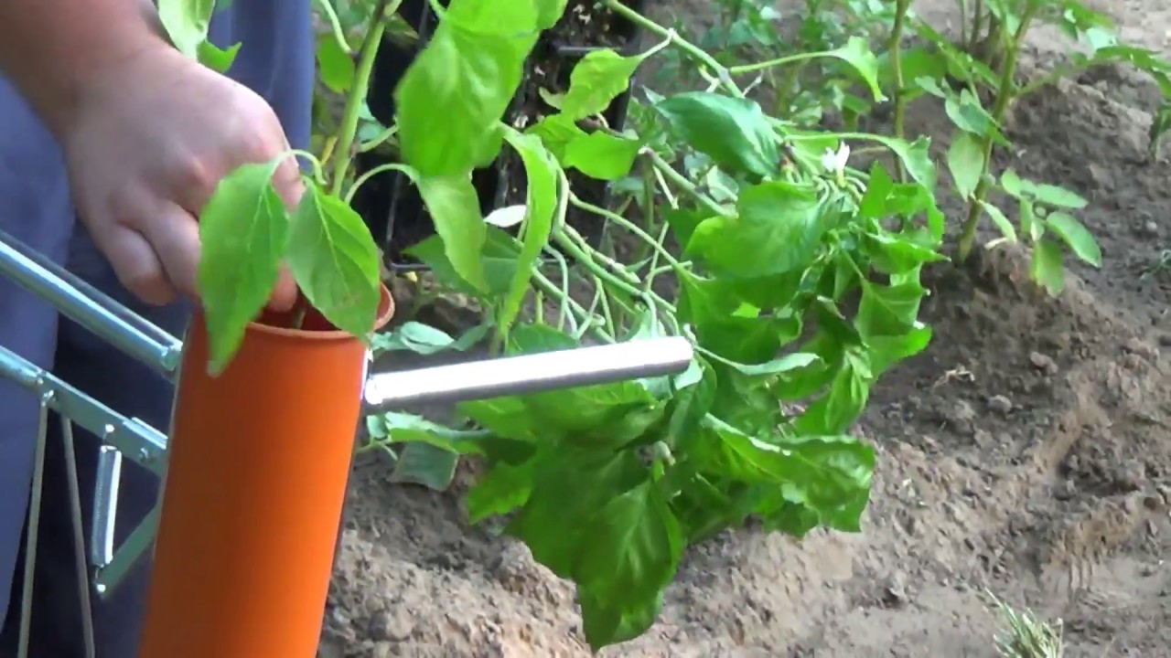 Kézi palántázó bemutatása