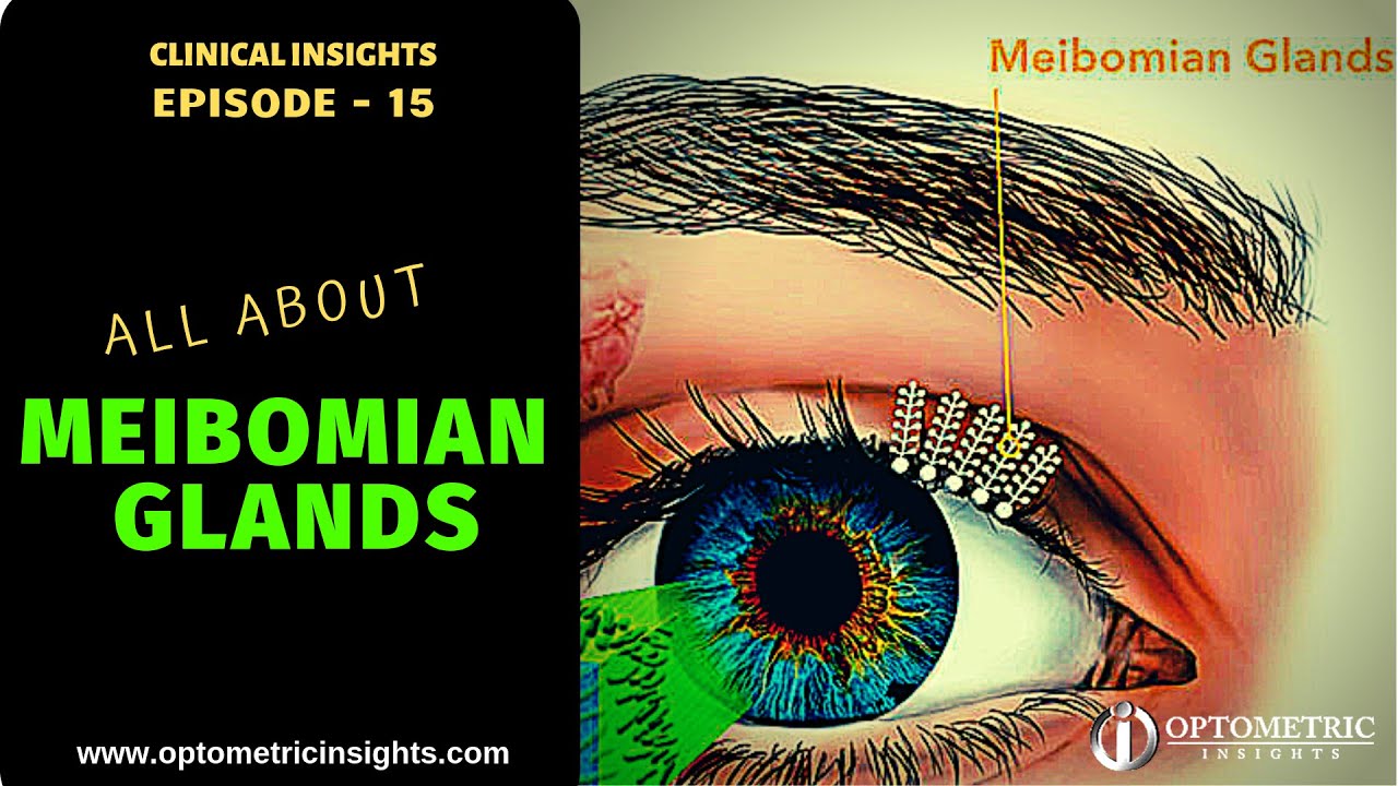 What You Should Know About the Meibomian Glands - Episode 15