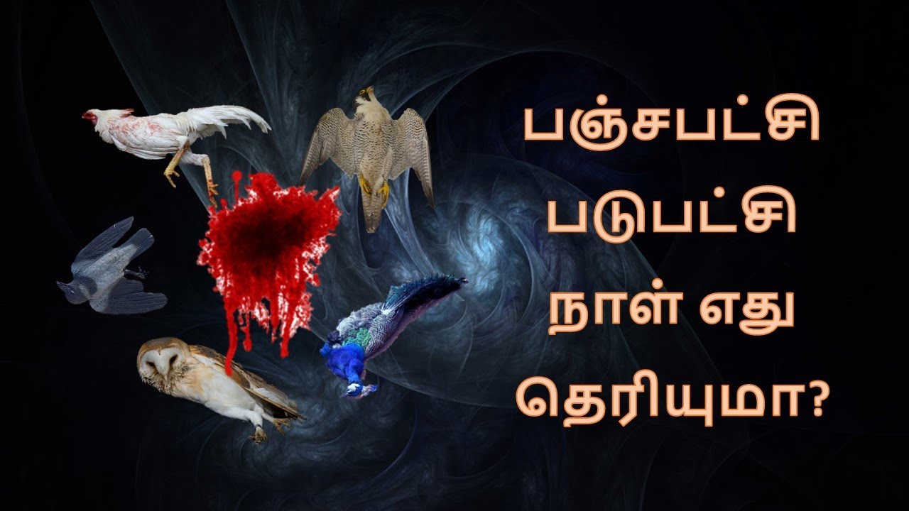 பஞ்சபட்சியின் படுபட்சி நாள் எது தெரியுமா? | பகுதி 7 | பஞ்சபட்சி சாஸ்திரம் | PanchaPatchi Sasthram 7