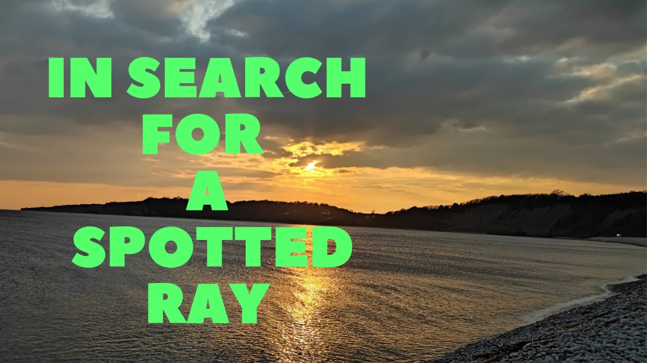 Searching For A Spotted Ray, Bristol Channel, South Wales