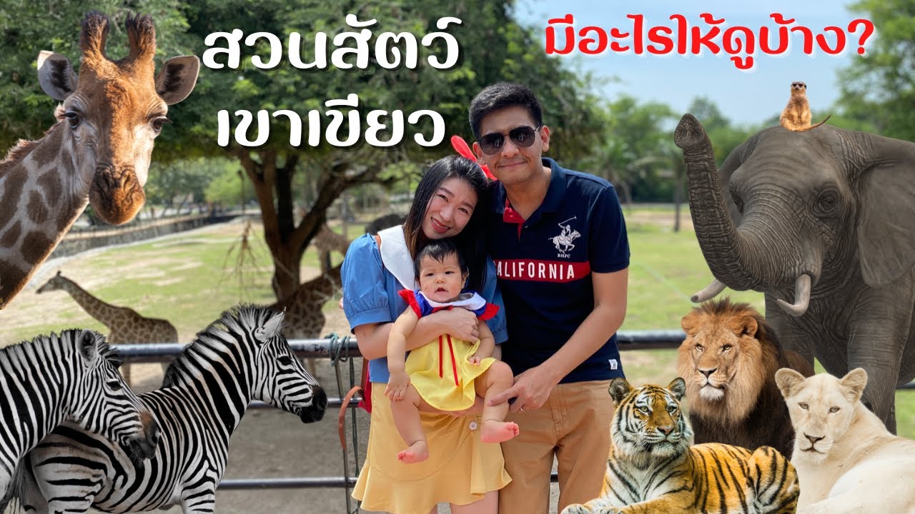 สวนสัตว์เปิดเขาเขียว ที่เที่ยวชลบุรี มีอะไรให้ดูบ้าง ? | Khao Kheow Open Zoo ที่เที่ยวใกล้กรุงเทพ