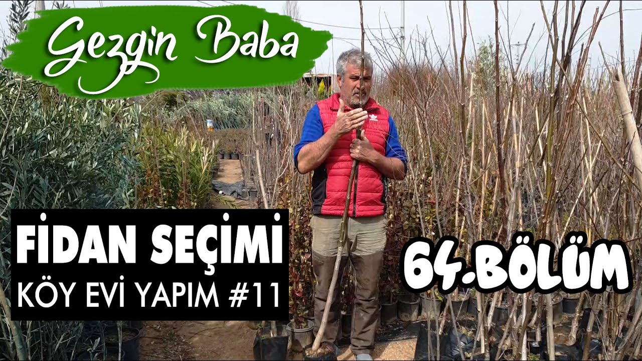 Meyve Fidanı Seçimi | Fidan Fiyatları | Bahçe Bakımı | Köy Evi Yapımı #11 | Gezgin Baba | 64.Bölüm