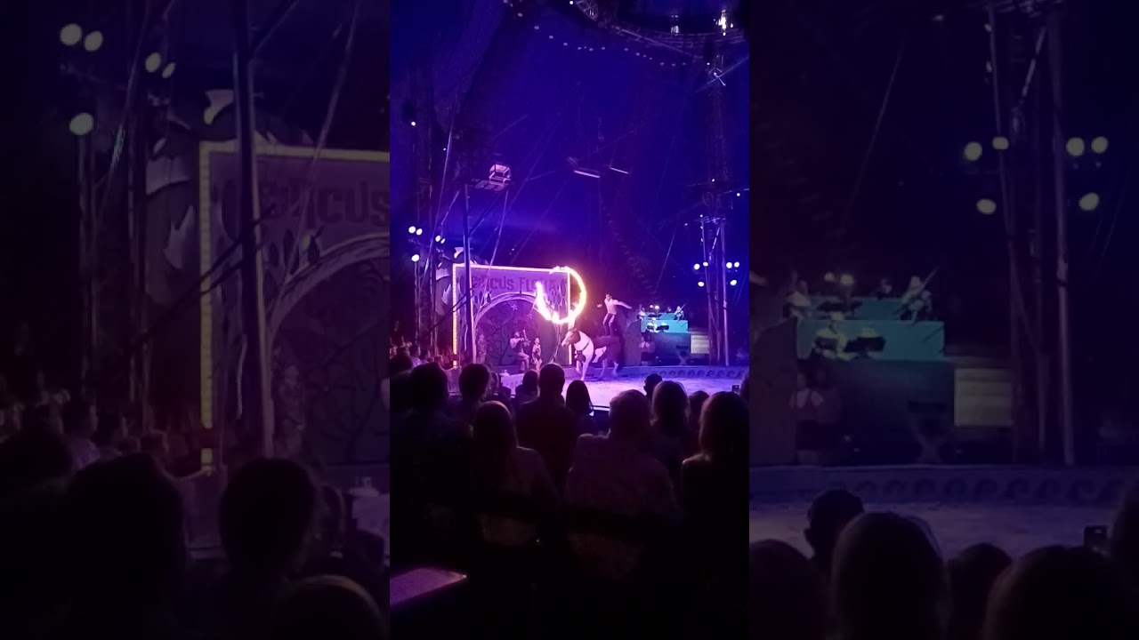 Circus Flora 2024 