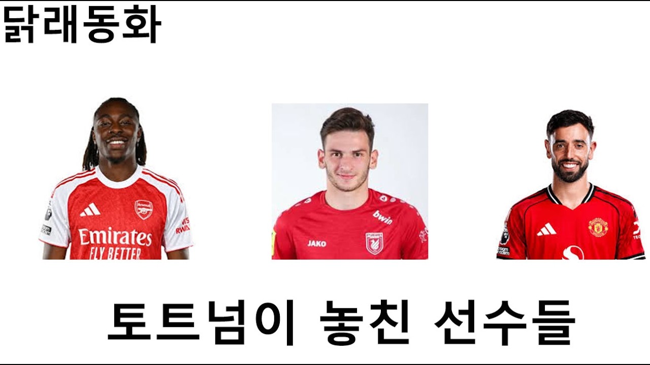 일반인이 모르는 토트넘이 놓친 10명의 선수를 알아보자. 닭래동화)