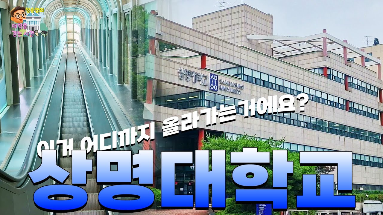 청와대를 지나, 언덕을 올라 가니 이 대학이더라 ㅣ 임승엽의 대학을 걷는 시간 [상명대편: 캠퍼스투어]