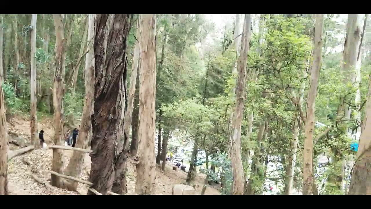San Francisco Stern Grove Festival