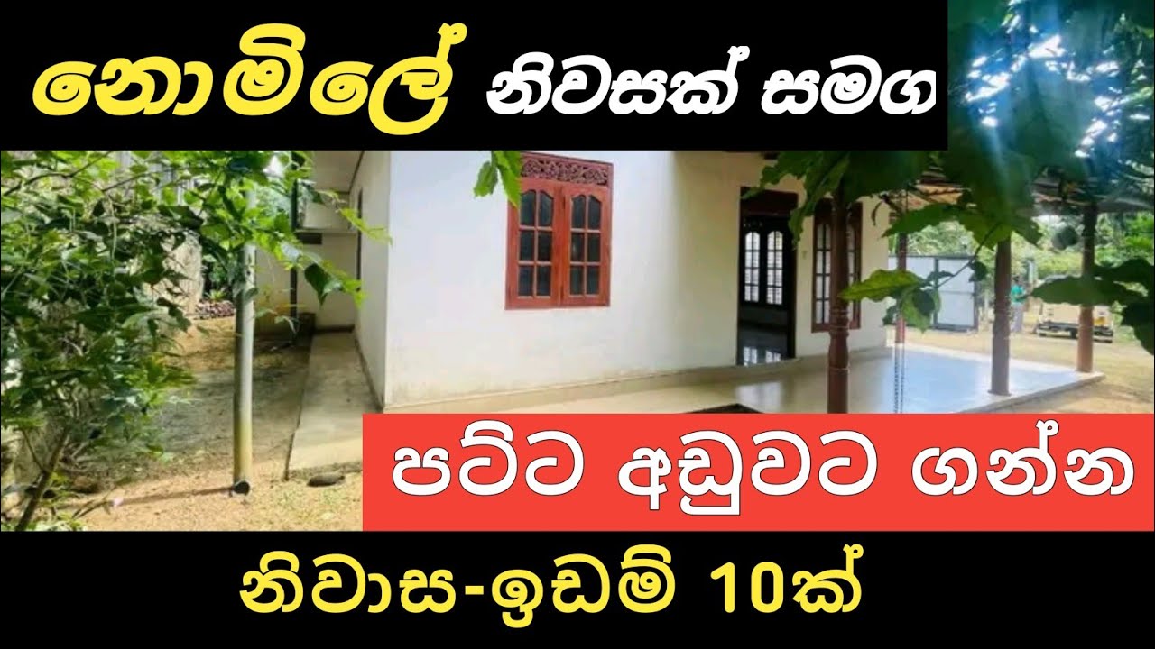 නොමිලේ නිවසක් සමග පට්ට අඩුවට නිවාස ඉඩම් 10ක් | Aduwata Idam Gewal | House for Sale | Ikman Selling