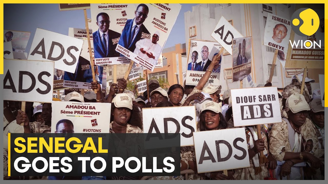 Senegal elections: 19 contenders vying for President's post | WION