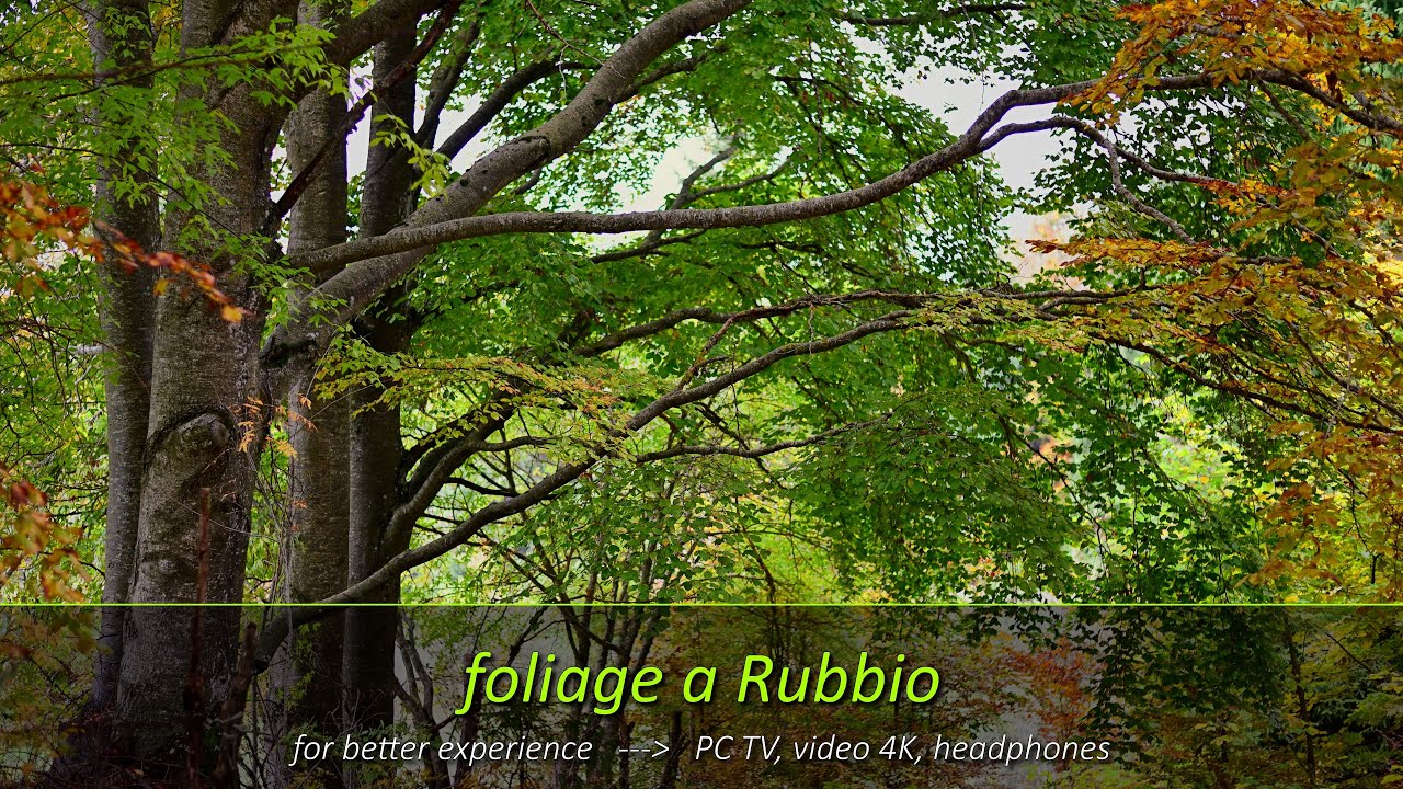 Foliage autunnale a Rubbio nell'Altopiano dei Sette Comuni, Lusiana-Conco Bassano Valbrenta Asiago