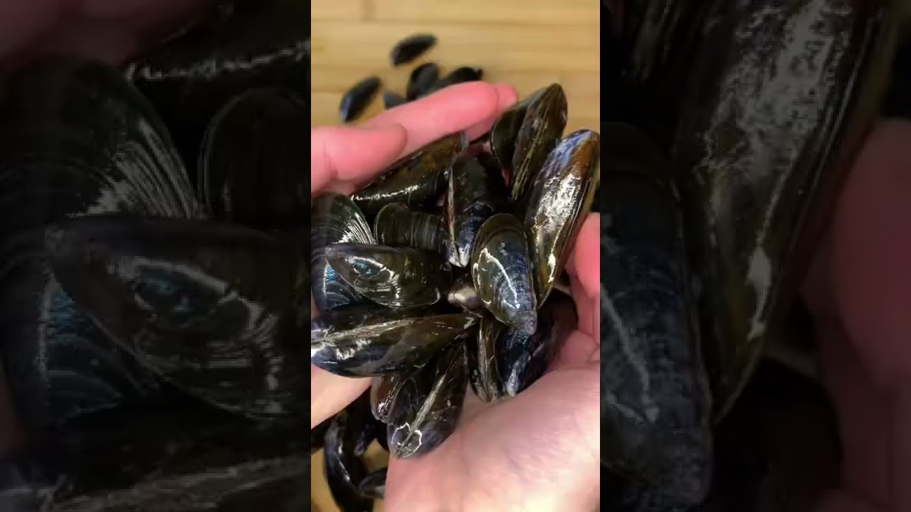👩🏼&zwj;🍳Recette - Recipe : Moules marini&egrave;res &agrave; la fran&ccedil;aise 🇫🇷 French Mussels🐚