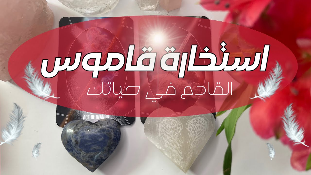 استخارة قاموس 📖•• 👁️‍🗨️القادم في حياتك على مختلف الأصعدة 👁️‍🗨️