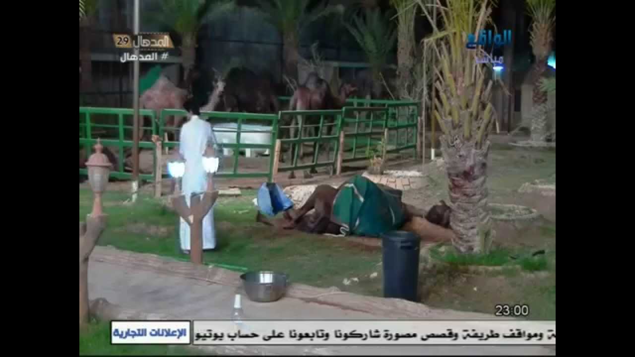 جنون واستهبال صالح الوسيدي على الناقة - اليوم 31 | المدهال