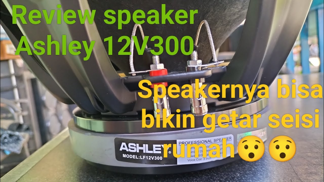 SPEAKER 12INCH MAMPU BIKIN GETAR SEISI RUMAH [REVIEW SPEAKER ASHLEY LF12V300]😯😯😱