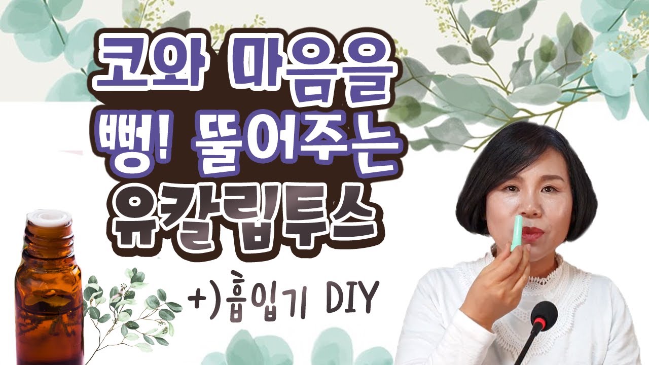 코와 마음을 뻥 뚫어주는 유칼립투스오일 | 아로마트리 유영설