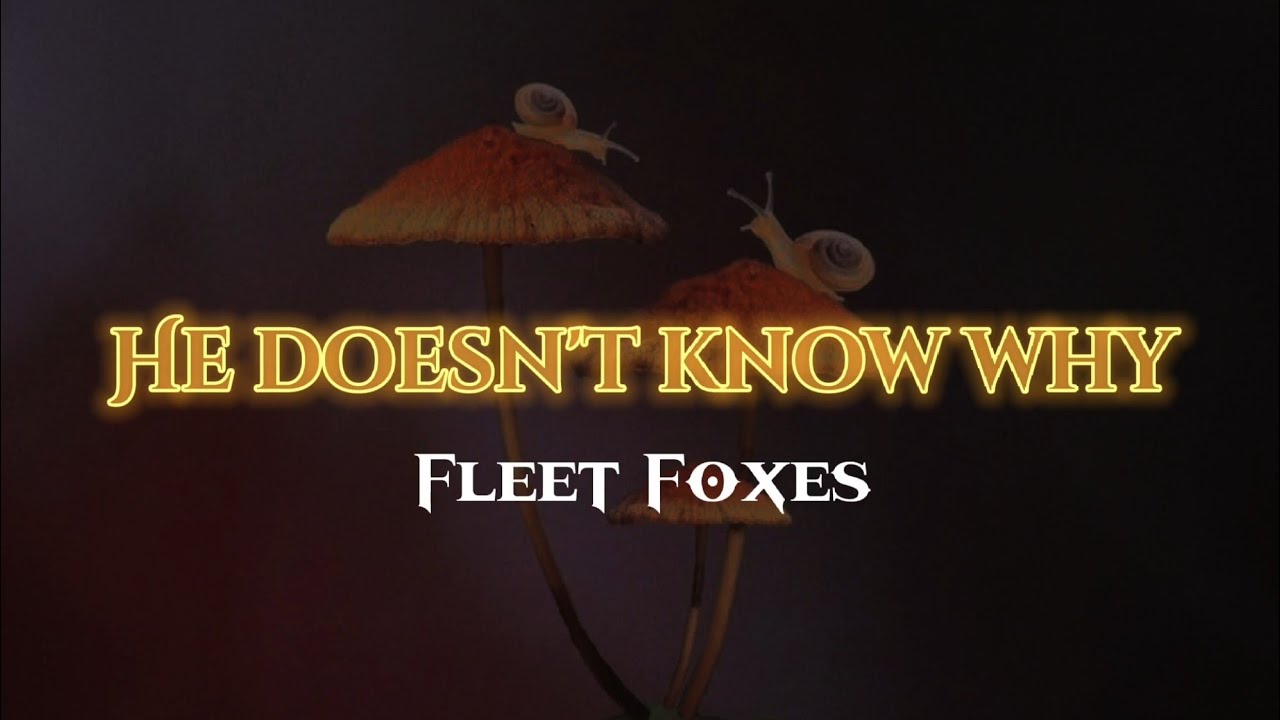 HE DOESN'T KNOW WHY || sub español/lyrics 🌼 Fleet Foxes