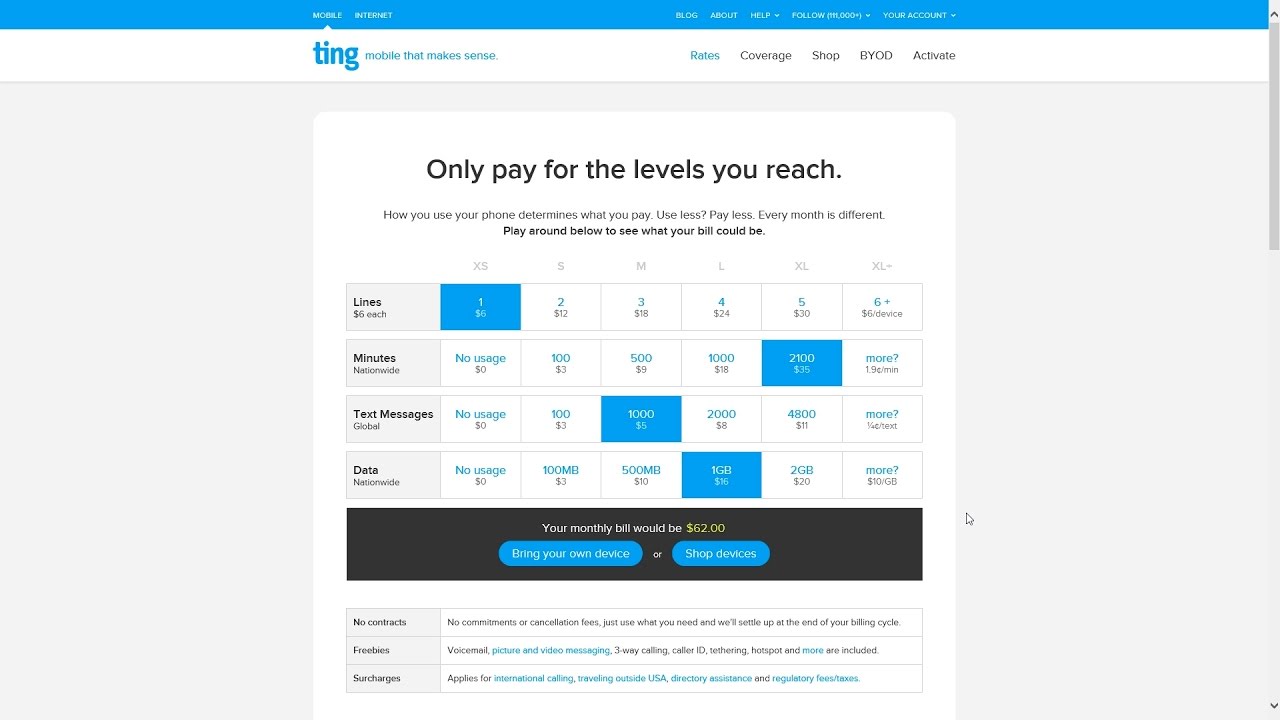 MVNO Carriers and Ting Wireless Review